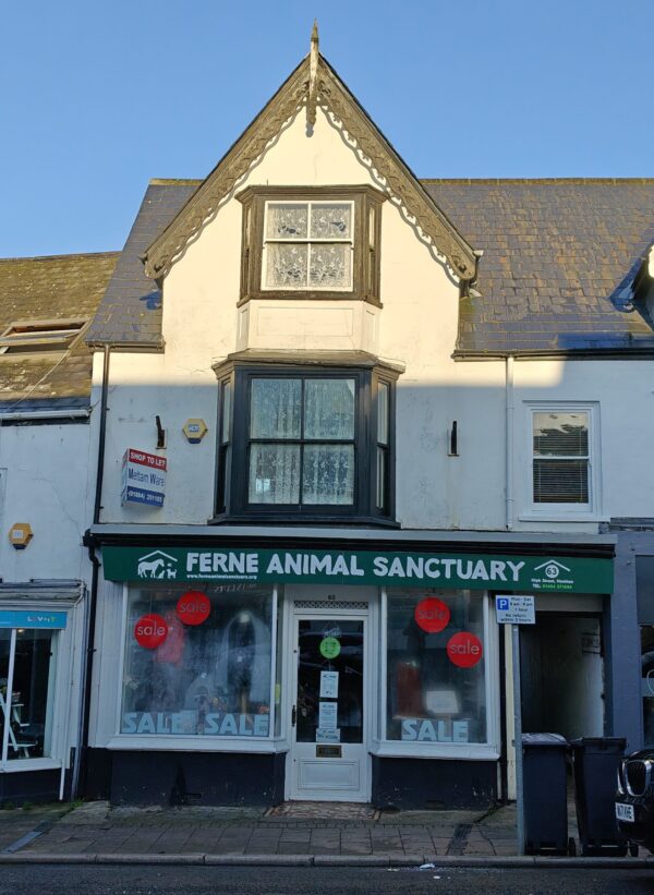 LET - 63 High Street, Honiton, EX14 1PW - Shop Premises - Image 2